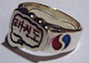 Tae Kwon Do Ring